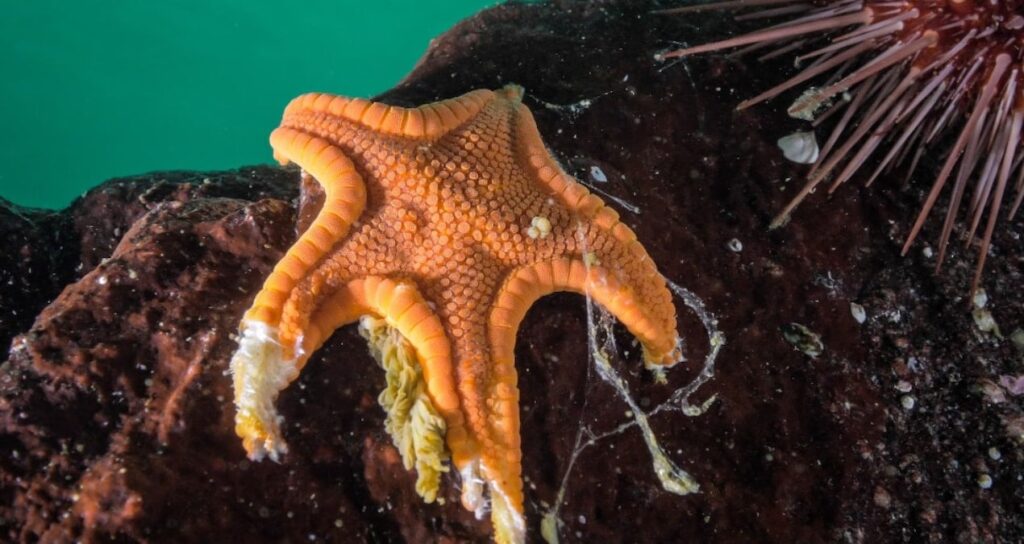 milyarlarcasini eridi o gizemli hastaligin faili bulundu gnvbGVJU