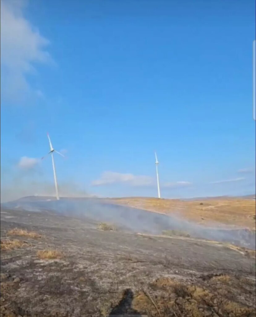 pasalimani adasinda yangin kontrol altina alindi nuGdpCc7