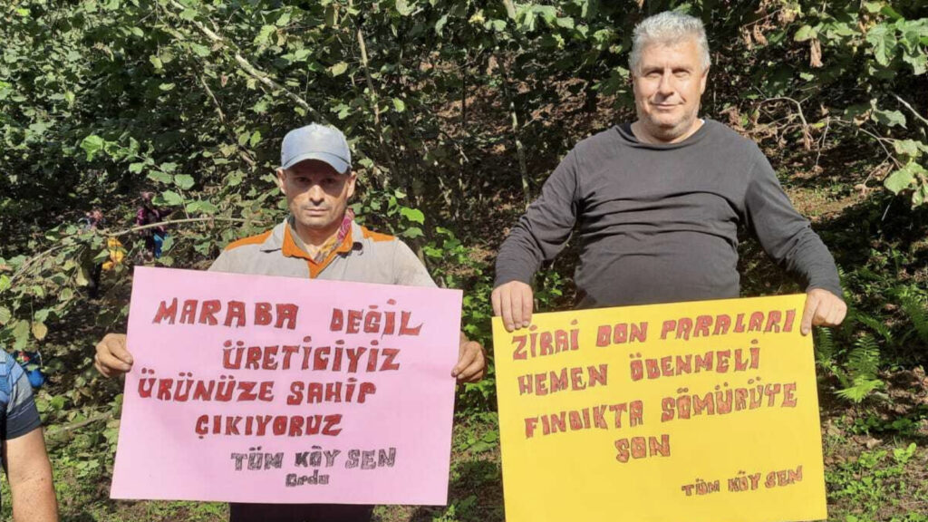 tum koy senden findik alim fiyatina tepki tekellerin cikarina hizmet etmektedir bu kararin arkasinda akp huk meti vardir jG2jUHUr