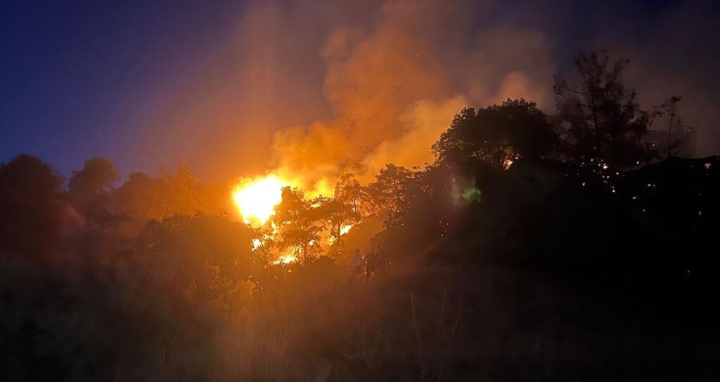 aydin efelerde ot yangini zeytinlige sicradi GHHPd5OX