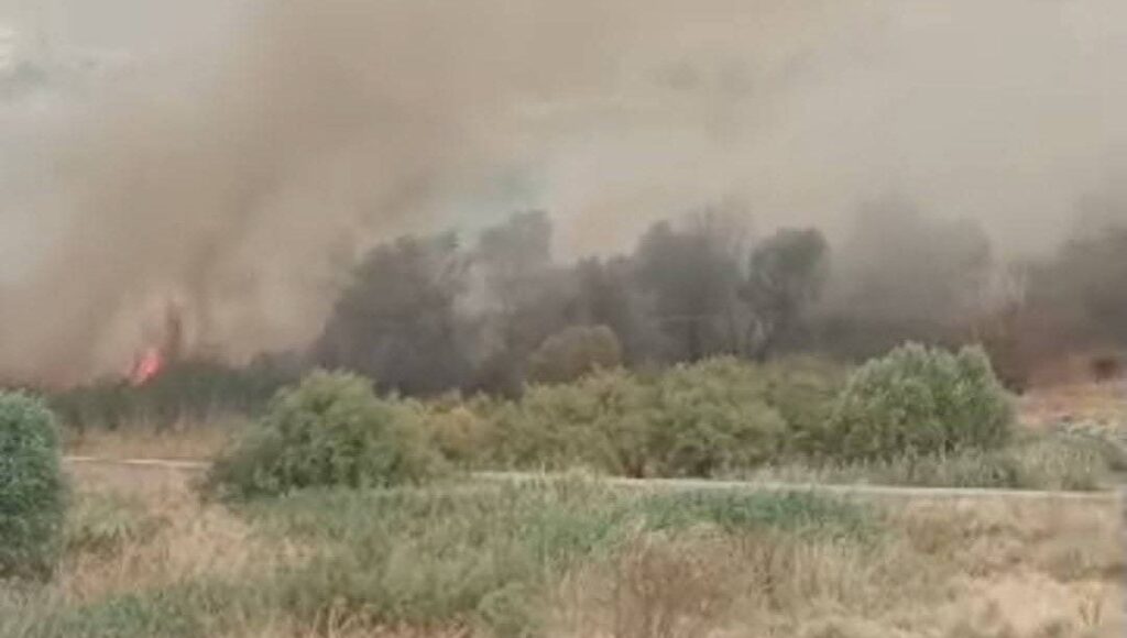 beypazarinda otluk alanda yangin m98c49V3