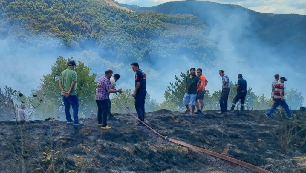 duzcede aniz yangini ormanlik alana sicramadan sonduruldu jmWjapGN