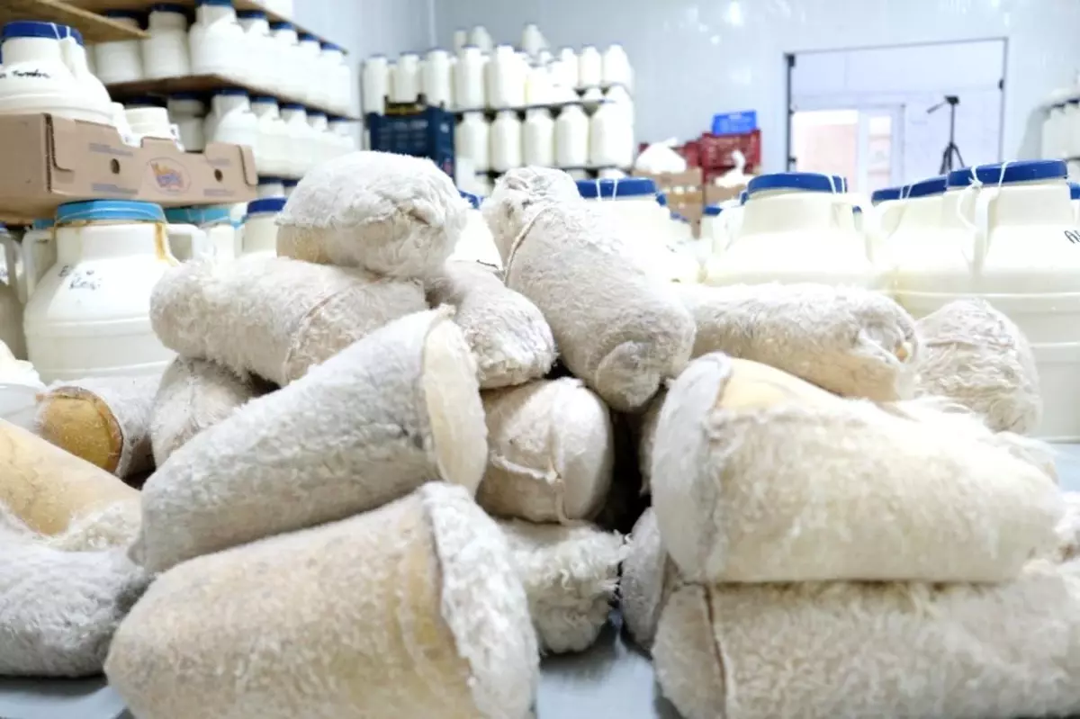 erzincan tulum peynirinin essiz lezzeti UZO63bb5