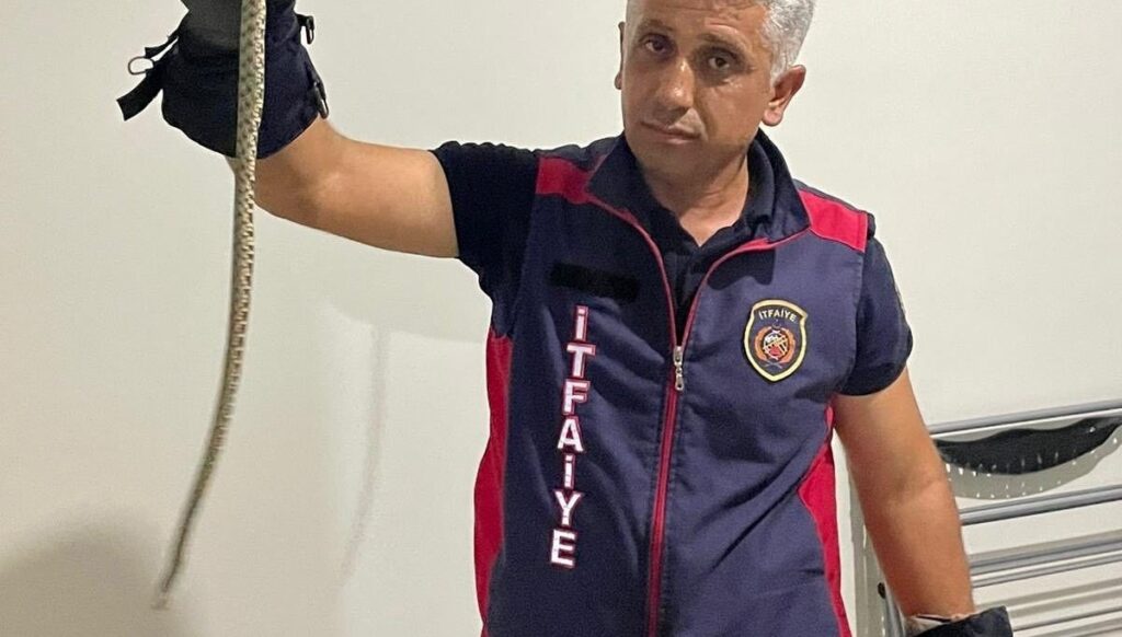 hatayda eve giren yilanlari itfaiye yakaladi Qn1ZOlby