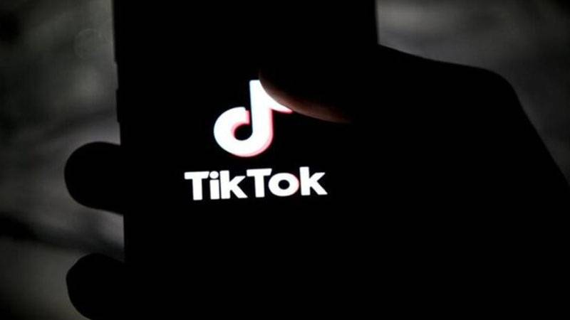 kanada tiktok ulkedeki cok sayida cocugun hassas verilerini topluyor 49rQSHue