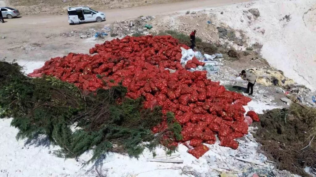 karamanda tonlarca sogan bos araziye atildi ROsbT5YR