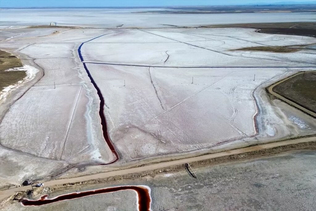 kuruyan goller yaban hayatini tehdit ediyor PmZxi7pQ