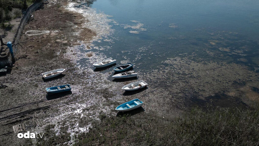 sapanca golu cevresinden 2 ton cop toplandi 9s3NPR4Q