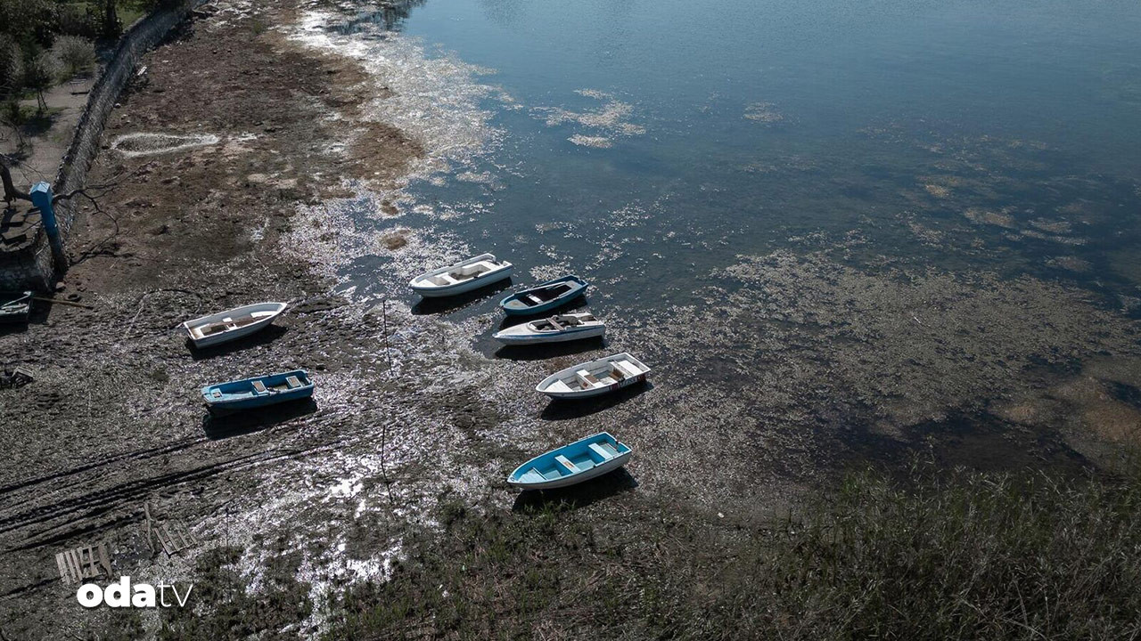 sapanca golu cevresinden 2 ton cop toplandi 9s3NPR4Q