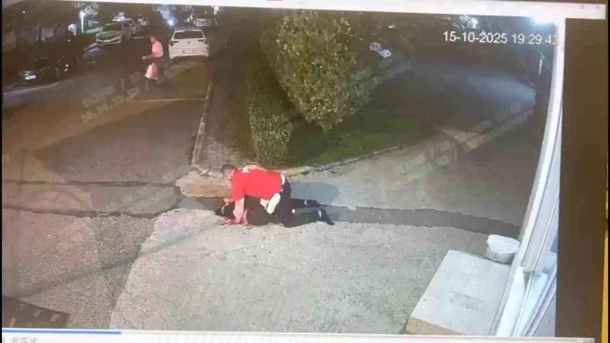 eski sevgili cinayeti aysel karakoc bicaklandi nu7ecEjp.jpg