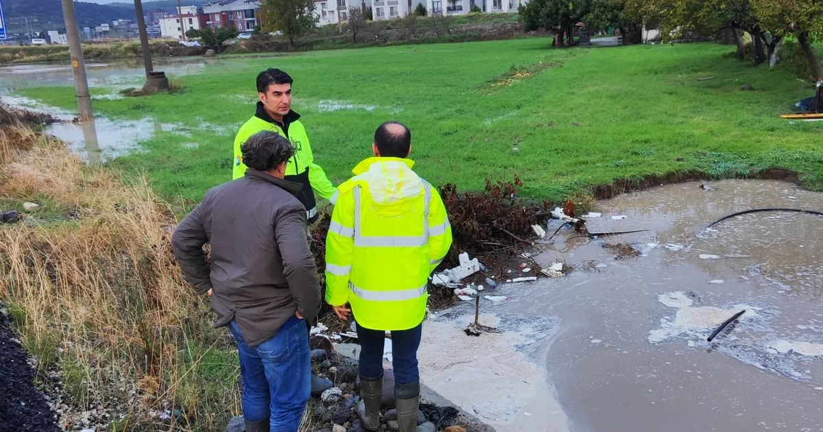 izmir bergama asiri yagislarla mucadele ediyor qE6DCj7z.webp