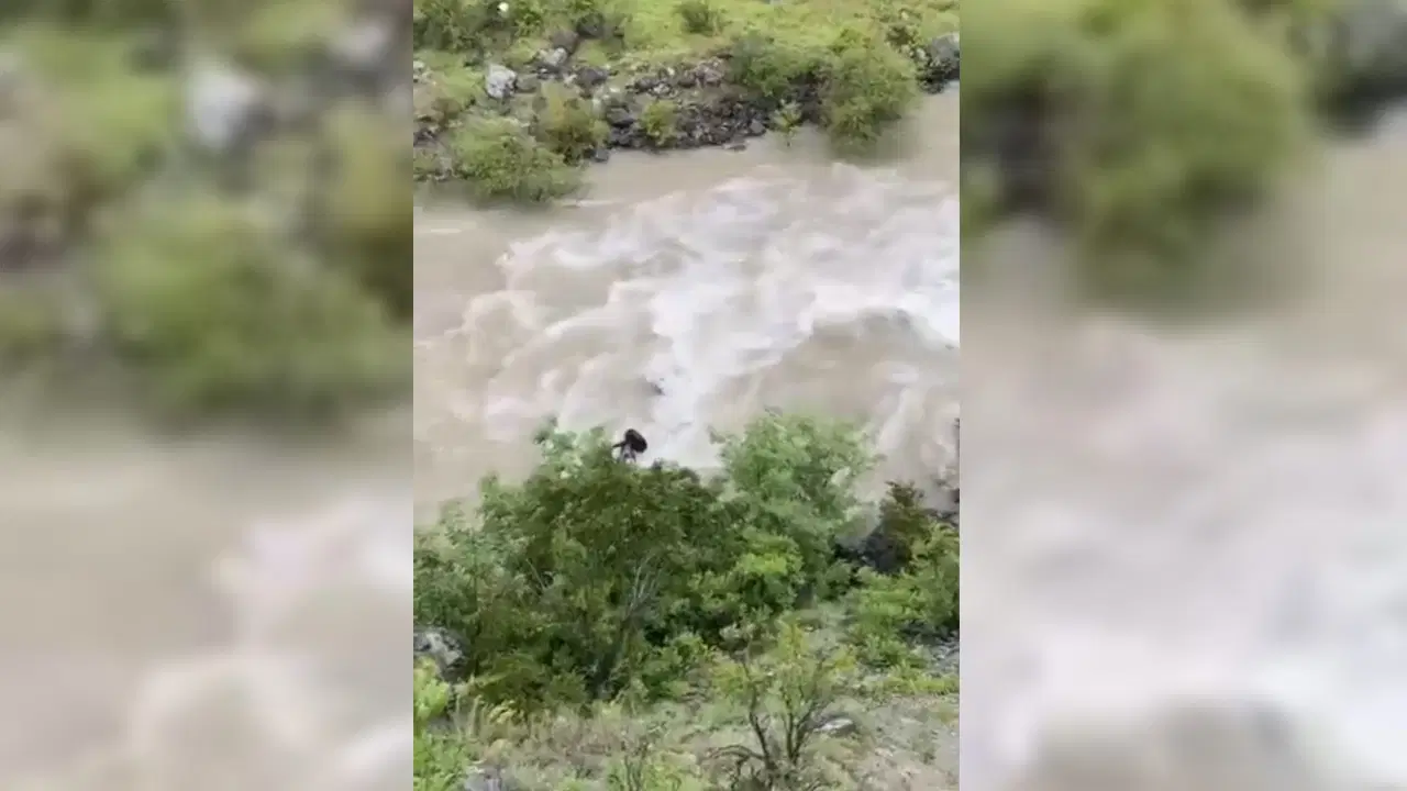 Artvin’de bir otomobil Çoruh Nehri’ne düştü: Baba ile oğlu aranıyor